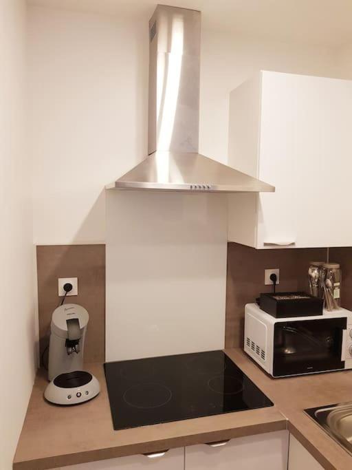 Le Jeanne 4/6 Couchages, Wifi, Sanctuaire Apartment ลูร์ด ภายนอก รูปภาพ