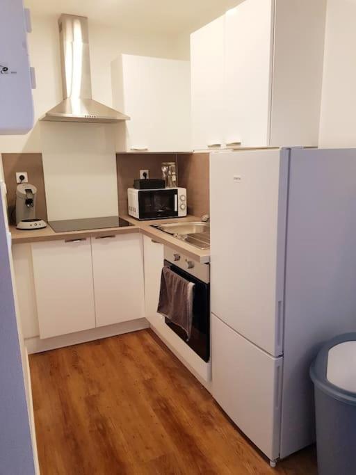 Le Jeanne 4/6 Couchages, Wifi, Sanctuaire Apartment ลูร์ด ภายนอก รูปภาพ
