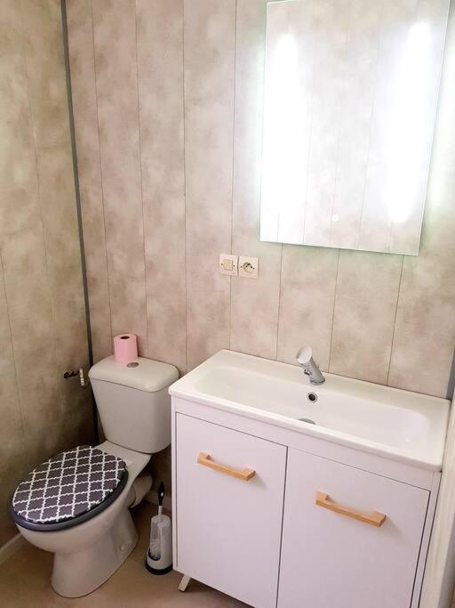 Le Jeanne 4/6 Couchages, Wifi, Sanctuaire Apartment ลูร์ด ภายนอก รูปภาพ